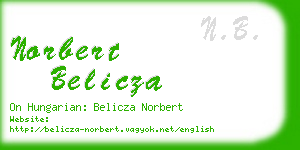 norbert belicza business card